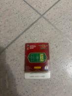 Cristiano Ronaldo Limited Edition Panini Adrenalyn FIFA WC 2, Ophalen of Verzenden, Zo goed als nieuw, Losse kaart