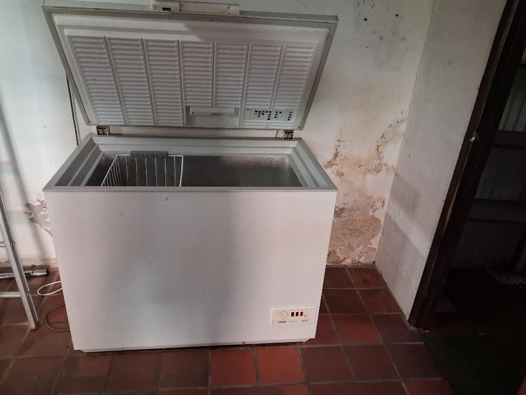 Diepvrieskist Zanussi, Vrieskist, Gebruikt, Vrijstaand, 90 cm of meer