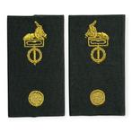 Rangen set Korps/Regiments adjunct blouse DT2000, Ophalen of Verzenden, Landmacht, Nederland, Embleem of Badge