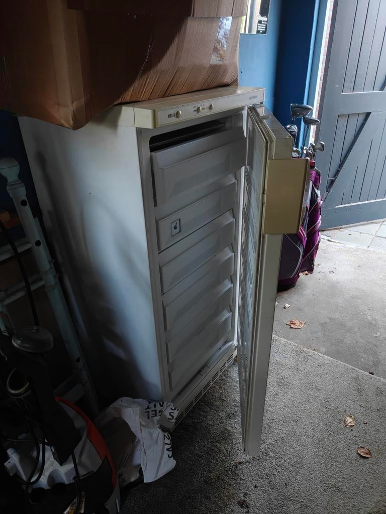 Liebherr vriezer met 6 lades, Witgoed en Apparatuur, Vriezers en Diepvrieskisten, Gebruikt, Vrijstaand, Vrieskast, 160 cm of meer