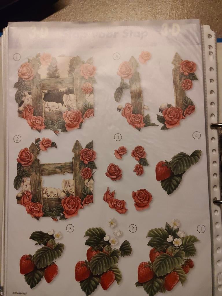 Pakket 1 verschillende knipvellen 24 stuks, Hobby en Vrije tijd, Kaarten | Zelf maken, Ophalen of Verzenden, Nieuw, Overige thema's
