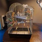 Vogelkooi., Dieren en Toebehoren, Ophalen, Gebruikt, Metaal, Vogelkooi