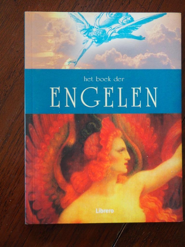 Het boek der Engelen Francis Melville  2007, Boeken, Achtergrond en Informatie, Spiritualiteit algemeen, Ophalen of Verzenden