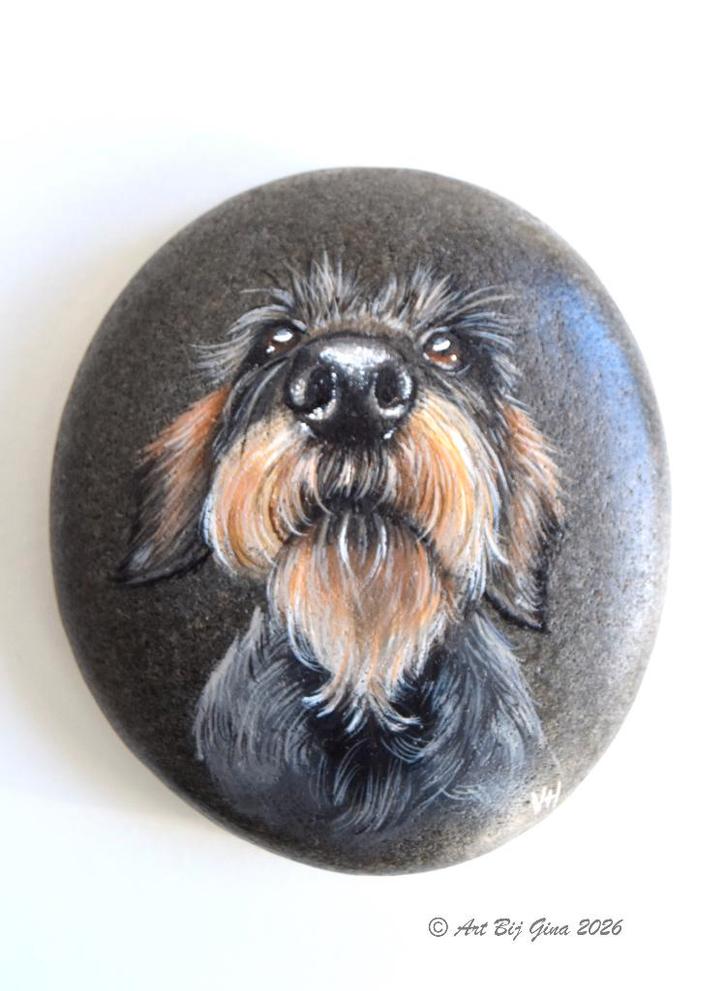 Leuke ruwharige teckel geschilderd op een mooie riviersteen, Antiek en Kunst, Kunst | Overige Kunst, Ophalen of Verzenden