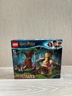 Lego 75967 Forbidden Forest: Umbridge's Encounter (nieuw), Ophalen of Verzenden, Nieuw, Complete set, Lego