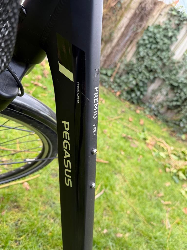 Premio Pegasus SL Damesfiets - Maat 55, Fietsen en Brommers, Fietsen | Dames | Damesfietsen, Versnellingen, Ophalen, Overige merken