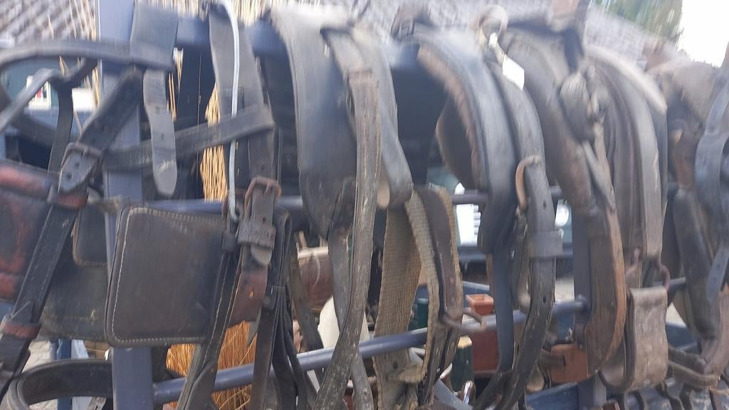 12 stuks paardetuig liefst in één koop, Ophalen of Verzenden, Zo goed als nieuw, Overige soorten