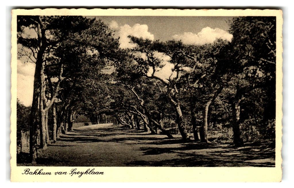 Bakkum, Van Speijklaan, Verzenden, 1920 tot 1940, Gelopen, Noord-Holland