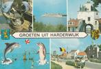 HARDERWIJK Palingvangst Dolfinarium Rondvaartboot Groeten, Verzenden, 1960 tot 1980, Gelopen, Gelderland