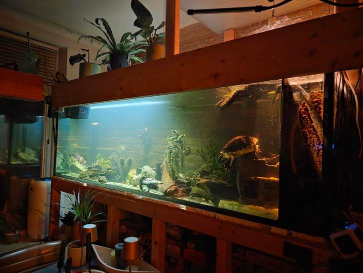 Aquarium 200x70x60 (wordt leeg opgeleverd), Dieren en Toebehoren, Vissen | Aquaria en Toebehoren, Gebruikt, Leeg aquarium, Ophalen