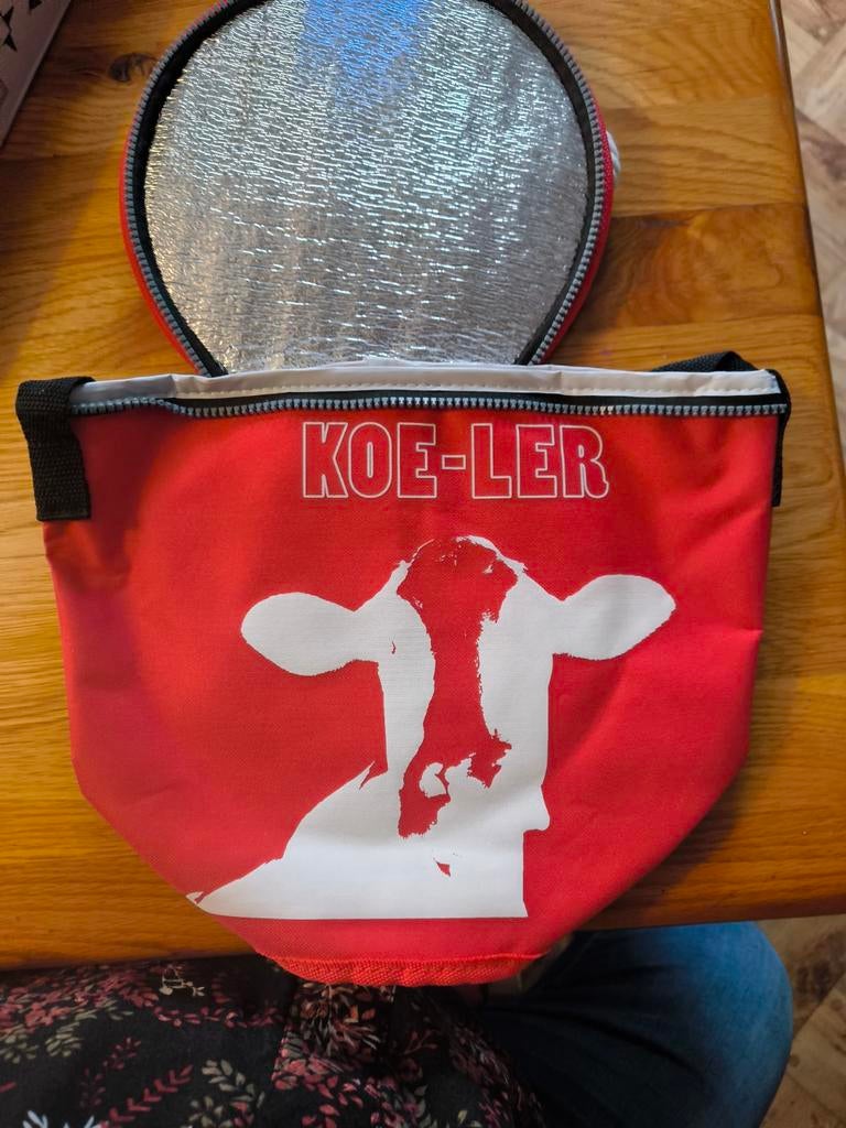 Klein koeltasje, Ophalen of Verzenden, Koelelement
