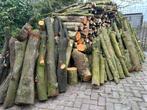 Haardhout kachelhout Gemengd, 6 m³ of meer, Ophalen of Verzenden, Overige houtsoorten, Stammen