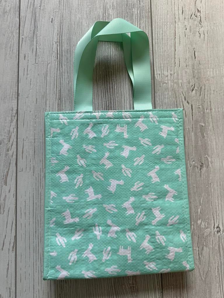 Koeltas, Ophalen of Verzenden, Zo goed als nieuw, Koeltas, Koelelement