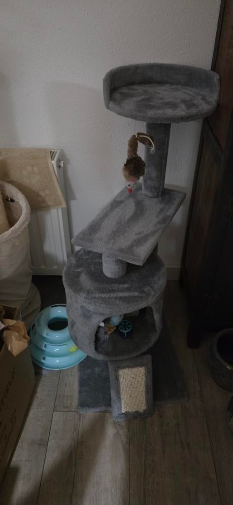 Krabpaal kitten of jonge kat, Ophalen, Nieuw, Krabpaal