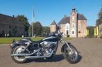 Harley Davidson Dyna Low Rider Anniversary 2003, Motoren, Motoren | Harley-Davidson, 2 cilinders, Particulier, Chopper, Motorrijbewijs A