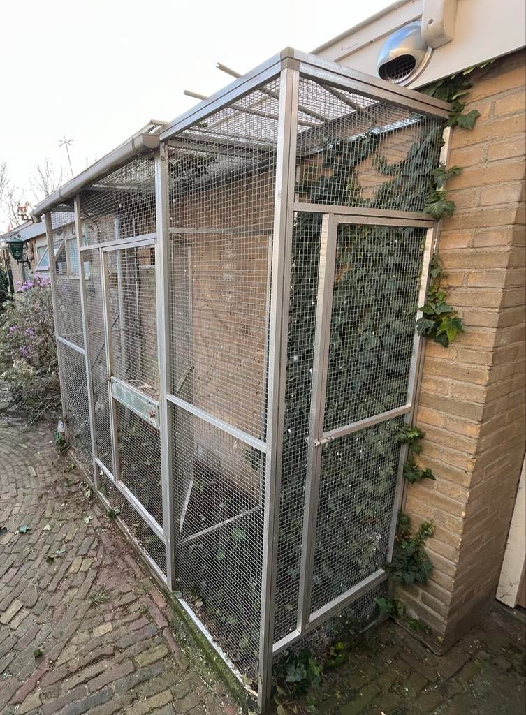 Volière van aluminium gaas panelen., Dieren en Toebehoren, Mannelijk, Wildzangvogel