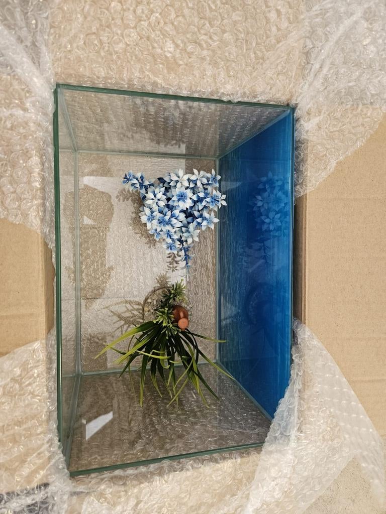 Aangeboden aquarium, Dieren en Toebehoren, Vissen | Aquariumvissen