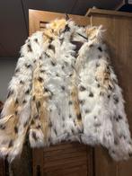 mooi bontjasje, Ophalen of Verzenden, Zo goed als nieuw, Maat 38/40 (M), Carnaval