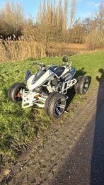 Quad - Perfect voor avontuur!, Motoren, 300 cc, 1 cilinder, 12 t/m 35 kW
