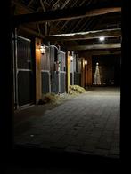 Vakantiestalling voor paarden, Weidegang, 2 of 3 paarden of pony's