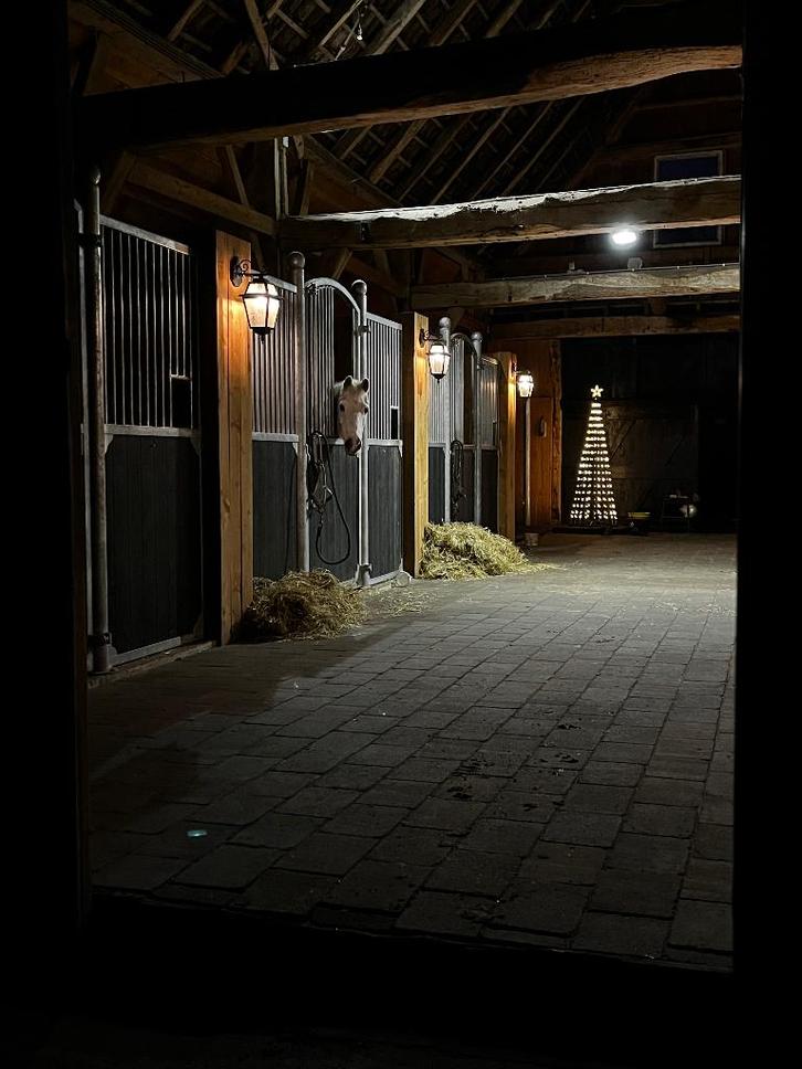 Vakantiestalling voor paarden, Dieren en Toebehoren, Stalling en Weidegang, Stalling, Weidegang, Toebehoren, 2 of 3 paarden of pony's