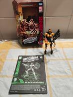 Blackarachnia Kingdom, Overige generaties, Ophalen of Verzenden, Gebruikt, Overige rassen