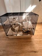 Hamster kooi + accessoires, Dieren en Toebehoren, Ophalen of Verzenden