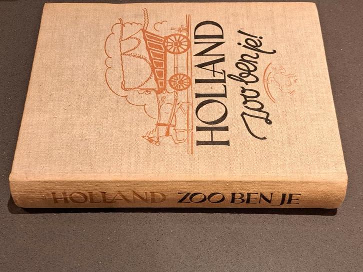 Boek: Holland zoo ben je!, Boeken, Geschiedenis | Vaderland, Gelezen, Ophalen of Verzenden