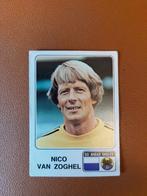 panini voetbal 79 go ahead eagles nico van zoghel 1979, Ophalen of Verzenden, Zo goed als nieuw, Overige binnenlandse clubs, Poster, Plaatje of Sticker
