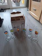 12 vedett glazen In doos, Ophalen of Verzenden, Nieuw, Glas of Glazen, Overige merken