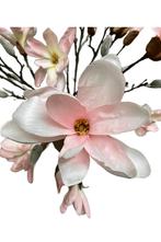 magnolia tak, Nieuw, Binnen, Ophalen of Verzenden