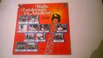 Hallo luisteraars en amateurs - 28 successen van de band, Cd's en Dvd's, Vinyl | Nederlandstalig, Ophalen, Gebruikt, 12 inch, Levenslied of Smartlap