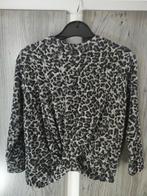 Zara truitje maat 122/128, Meisje, Trui of Vest, Ophalen of Verzenden, Zo goed als nieuw