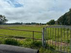 Stalling en weidegang aangeboden, Dieren en Toebehoren, Stalling en Weidegang, Weidegang