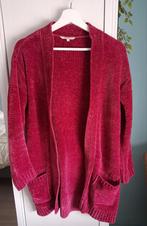 Warm velours vest, wijnrood., Kleding | Dames, Ophalen of Verzenden, Maat 36 (S), Rood, Gedragen
