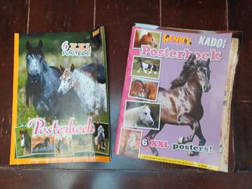 Veel Paarden posters  beschikbaar voor biedingen