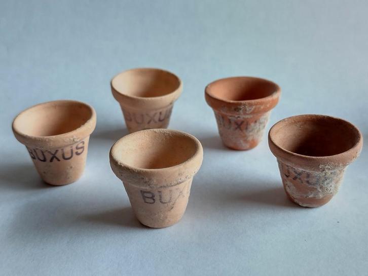 oudgemaakte bloempot met tekst Buxus / miniatuur, Verzamelen, Poppenhuizen en Toebehoren, Nieuw, Gebruiksvoorwerp, Ophalen