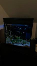 Aquarium SuperFish aqua 30 LED met vissen en toebehoren!, Ophalen of Verzenden, Zo goed als nieuw, Leeg aquarium