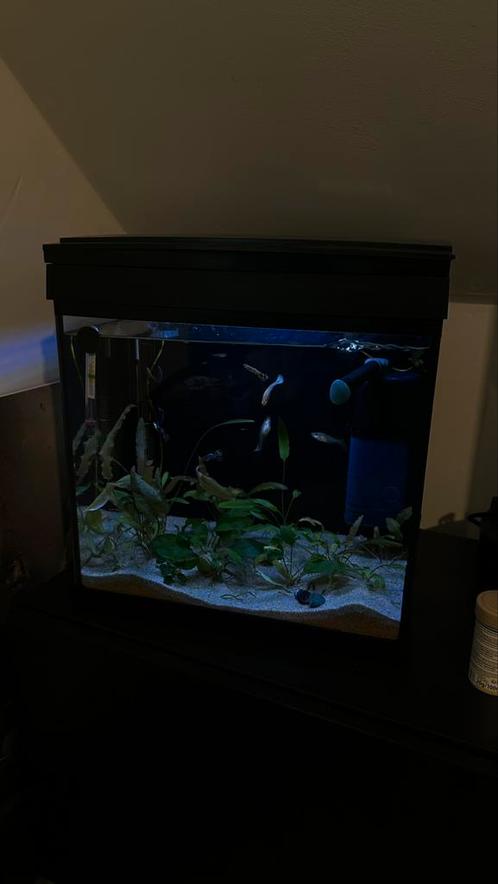 Aquarium SuperFish aqua 30 LED met vissen en toebehoren!, Dieren en Toebehoren, Vissen | Aquaria en Toebehoren, Zo goed als nieuw