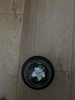 Disco bol met snoer - Goed werkend!, Muziek en Instrumenten, Licht en Laser, Ophalen of Verzenden, Gebruikt, Discobol, Kleur