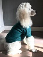 Handmade trui hondenkleding Chihuahua Boomer Pup Pom Naaktho, Ophalen of Verzenden, Nieuw, Hondentrui