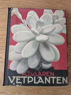 Verkade" boek Vetplanten, Ophalen of Verzenden, Gelezen