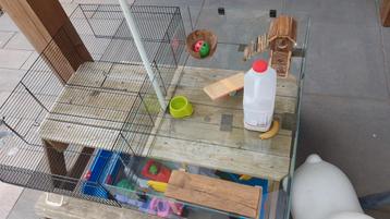 Mooie glazen bak voor hamsters etc... 