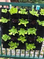 muurtuin panelen, Ophalen, Zo goed als nieuw