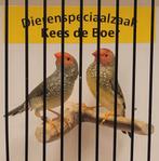 Koppel binsen astrilde, Dieren en Toebehoren, Vogels | Overige Vogels, Meerdere dieren