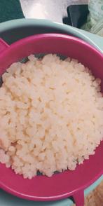 Waterkefir korreltjes, Diversen, Levensmiddelen, Ophalen