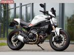 DUCATI MONSTER 797 (bj 2019), DUCATI, 2 cilinders, Motorrijbewijs A, Bedrijf