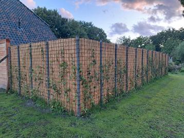 Gegalvaniseerde palen voor klimop hek afscheiding 15 stuks  beschikbaar voor biedingen