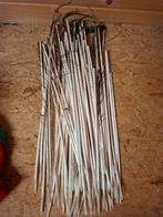 50 stuks losse stelen/ verensteel pauw, Materiaal, Ophalen of Verzenden, Zo goed als nieuw, Nvt