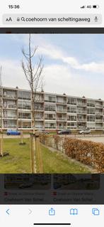 Appartement, Huizen en Kamers, 3 kamers, Heerenveen, Appartement, 78 m²